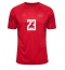 Billige Danmark Pierre-Emile Hojbjerg #23 Hjemmebanetrøje VM 2022 Kort ærmer