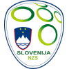 Slovenien trøje