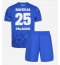 Billige Bayer Leverkusen Exequiel Palacios #25 Tredje trøje Børn 2025-26 Kort ærmer (+ bukser)