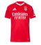 Billige Benfica Hjemmebanetrøje 2024-25 Kort ærmer