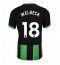 Billige Brighton Danny Welbeck #18 Tredje trøje 2024-25 Kort ærmer