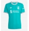 Billige Liverpool Alexander Isak #9 Tredje trøje 2025-26 Kort ærmer