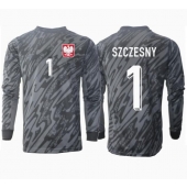 Billige Polen Wojciech Szczesny #1 Målmand Udebanetrøje EM 2024 Lange ærmer