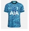 Billige Tottenham Hotspur Tredje trøje 2022-23 Kort ærmer