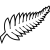 New Zealand VM 2026 Børn
