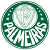 Palmeiras trøje