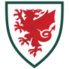 Wales trøje