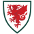 Wales trøje